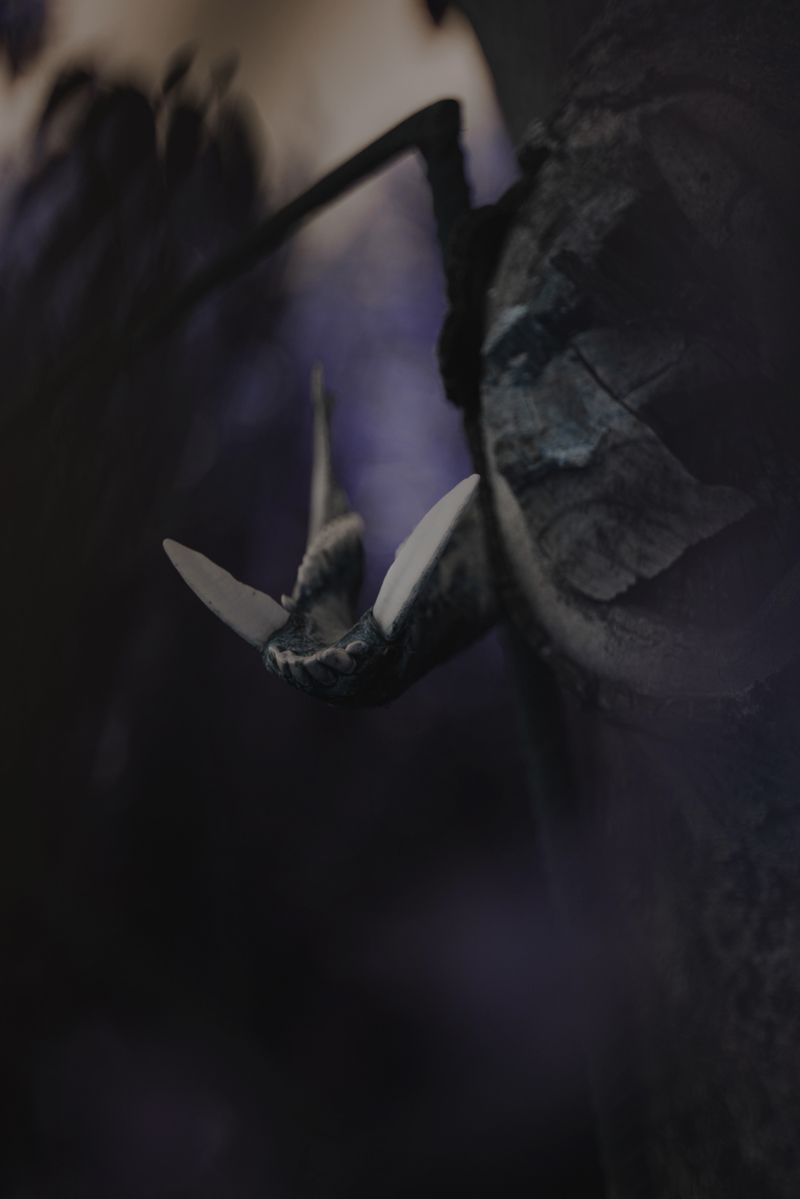 © Chiara Ventola - Francavilla in Sinni, August 2023.