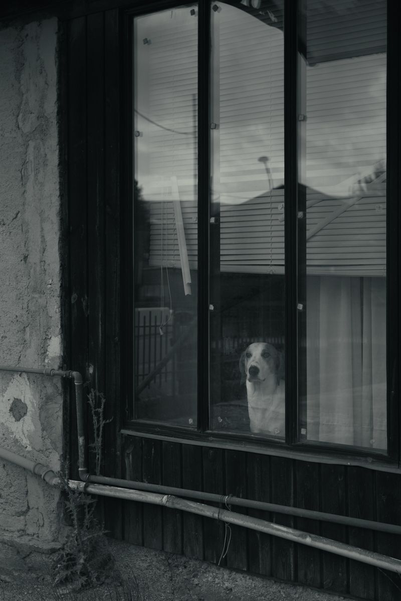 © Chiara Ventola - Bucaletto (PZ), January 2023.