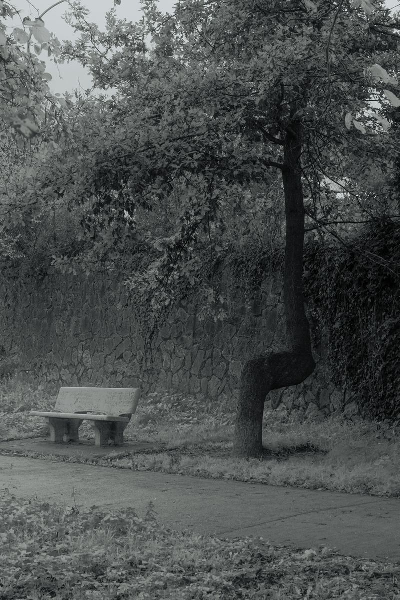 © Chiara Ventola - Potenza, November 2022.