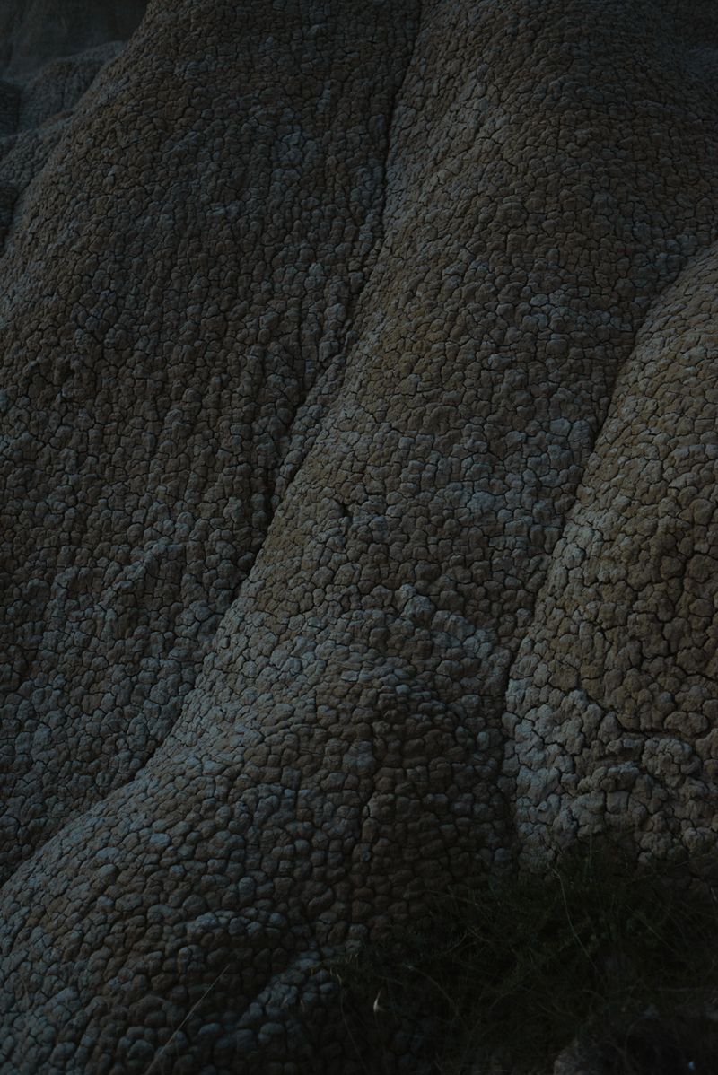 © Chiara Ventola - Pisticci, June 2023.