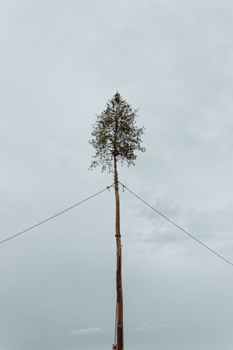 © Chiara Ventola - Accettura, May 2023.