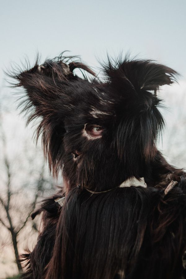 © Chiara Ventola - Teana, February 2023.