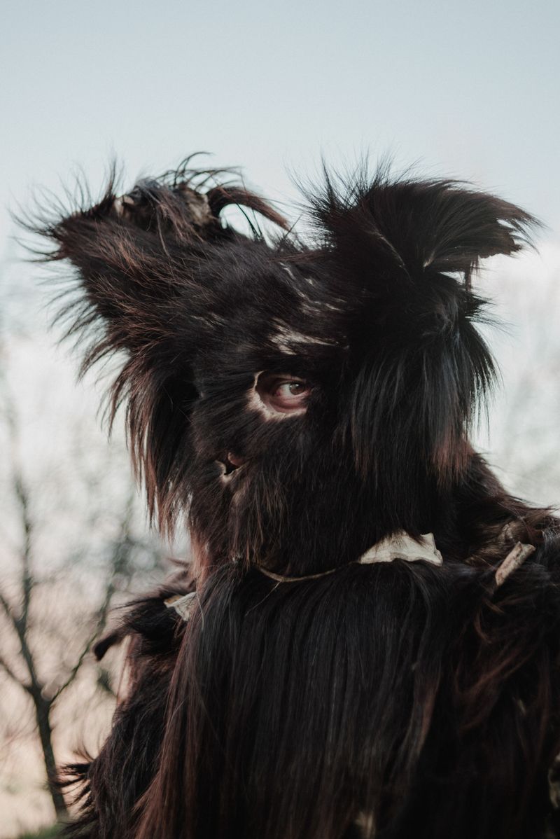 © Chiara Ventola - Teana, February 2023.