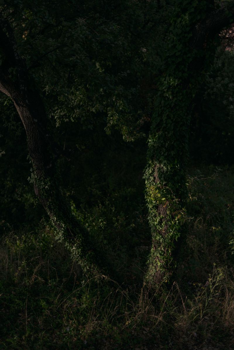 © Chiara Ventola - Maratea, September 2023.