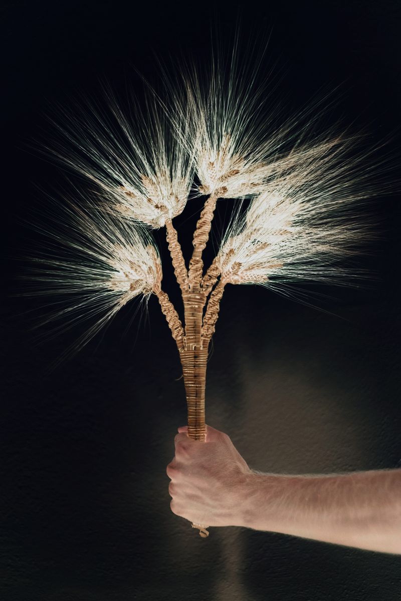 © Chiara Ventola - Colobraro, June 2023.