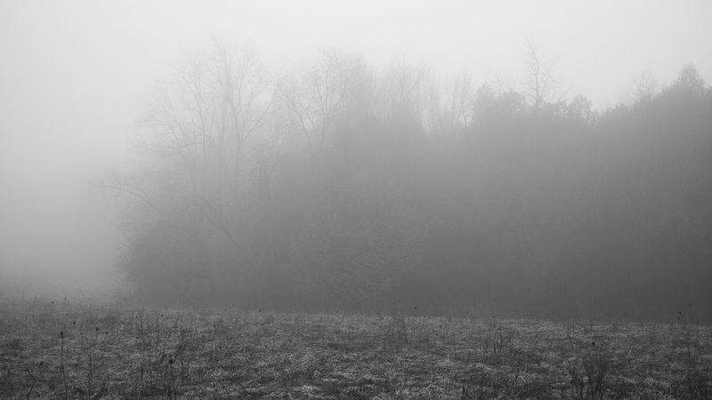 © William Wilson - low vis