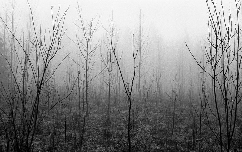 © William Wilson - death