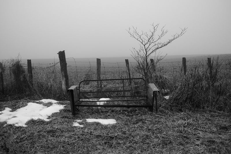 © William Wilson - bench