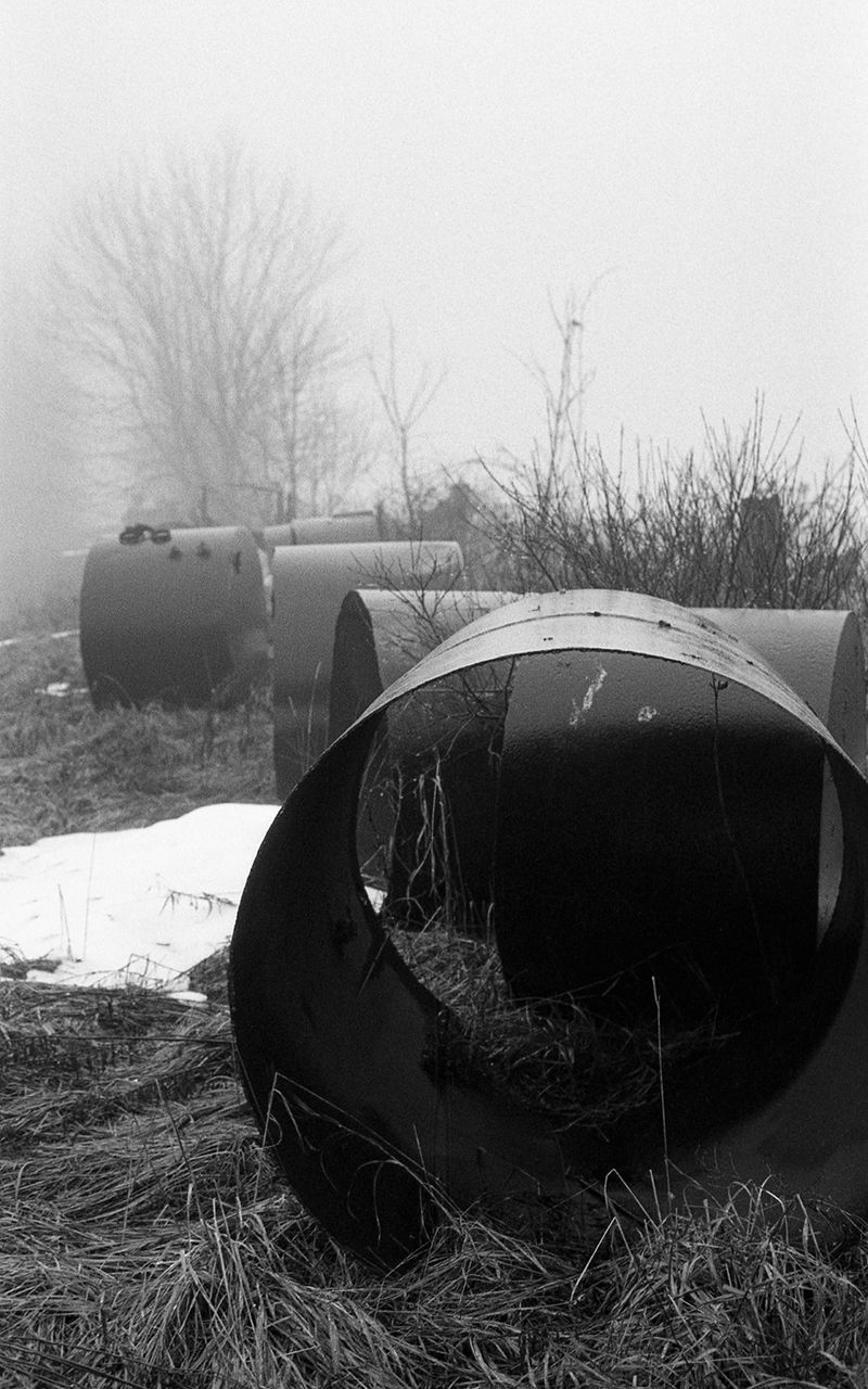 © William Wilson - scrap