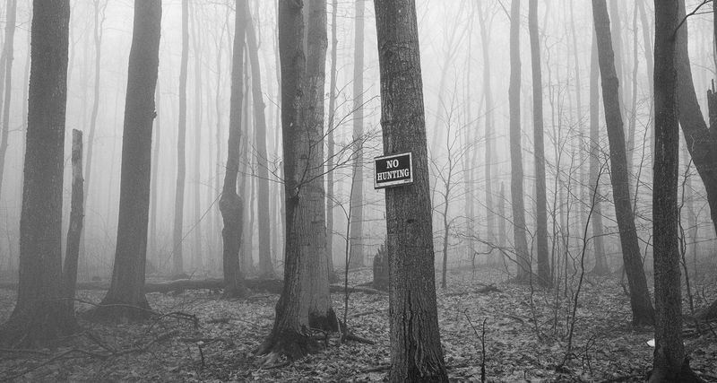 © William Wilson - sign