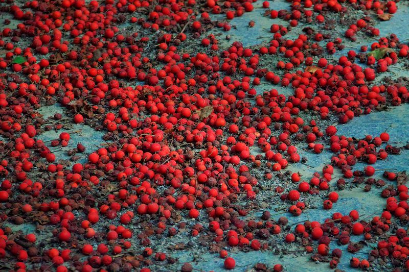 © Olena Lemberska - September