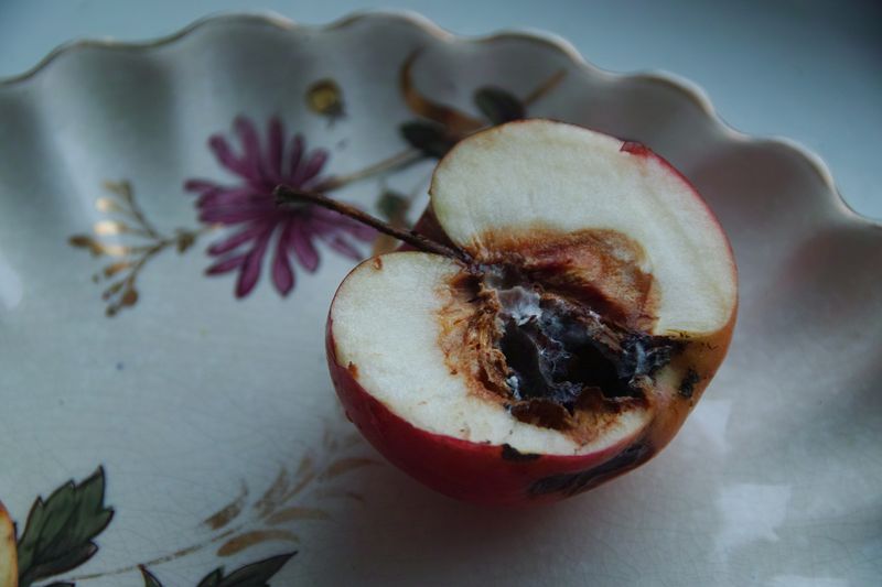 © Olena Lemberska - November