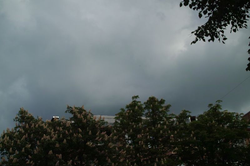 © Olena Lemberska - May