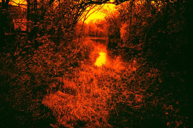 © Olena Lemberska - Image from the RIFT photography project