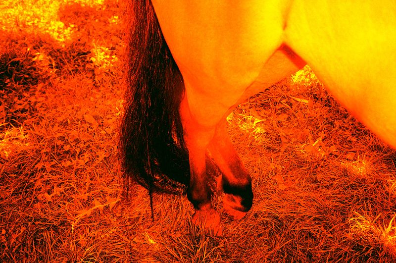 © Olena Lemberska - Image from the RIFT photography project