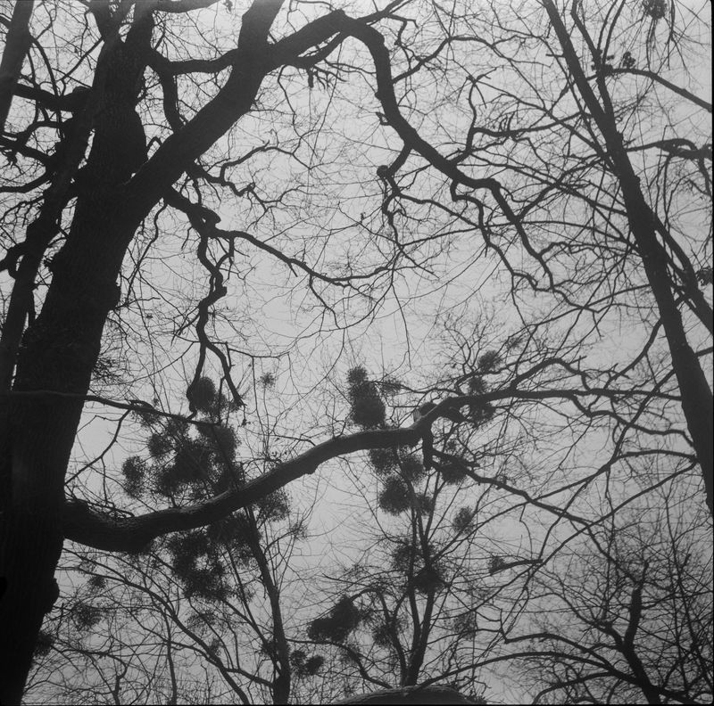 © Olena Lemberska - Image from the Inner Mapping photography project