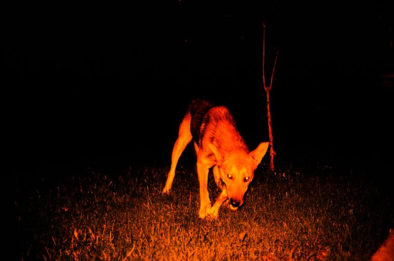 © Olena Lemberska - Image from the RIFT photography project