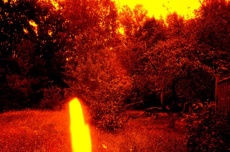 © Olena Lemberska - Image from the RIFT photography project