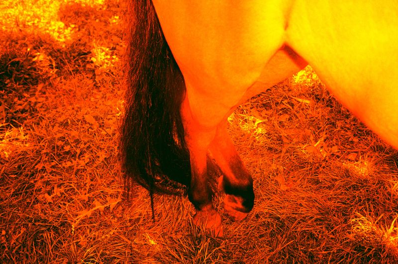 © Olena Lemberska - Image from the RIFT photography project