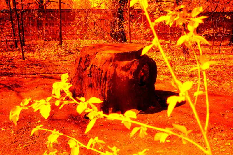 © Olena Lemberska - Image from the RIFT photography project