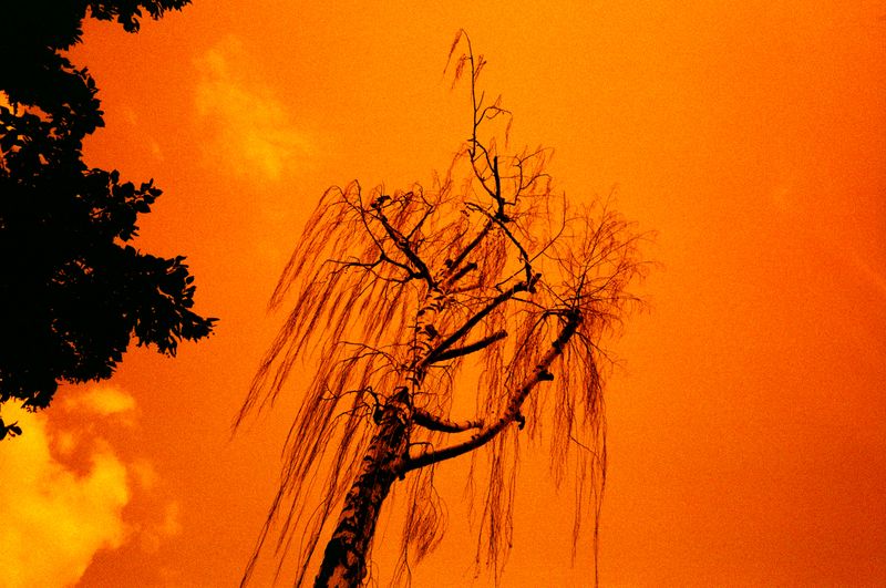 © Olena Lemberska - Image from the RIFT photography project