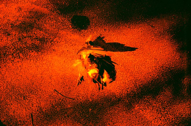 © Olena Lemberska - Image from the RIFT photography project