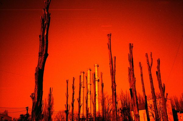 © Olena Lemberska - Image from the RIFT photography project