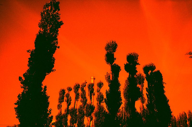 © Olena Lemberska - Image from the RIFT photography project