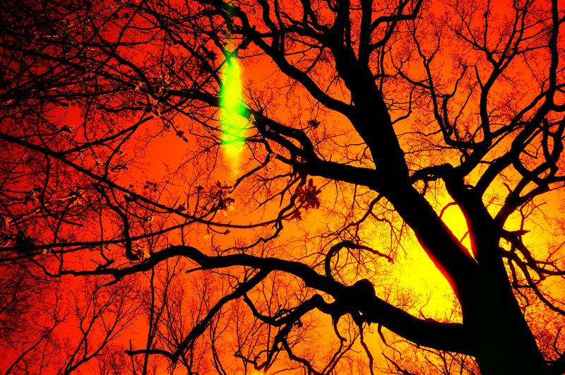 © Olena Lemberska - Image from the RIFT photography project