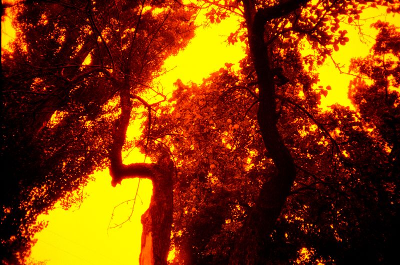 © Olena Lemberska - Image from the RIFT photography project