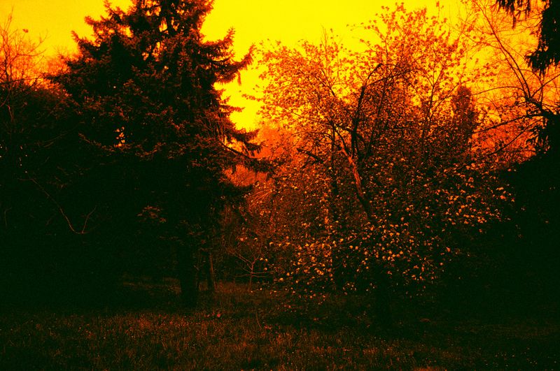 © Olena Lemberska - Image from the RIFT photography project