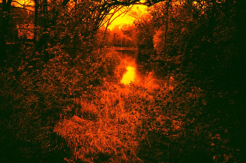 © Olena Lemberska - Image from the RIFT photography project