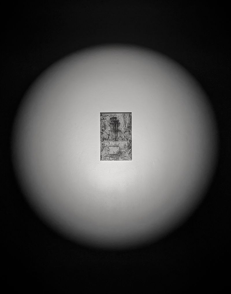 © Joshua Mokry - Specimen, Archival inkjet print, 22x28", 2025