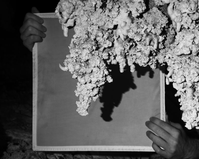 © Joshua Mokry - Document, Archival inkjet print, 25x20", 2025