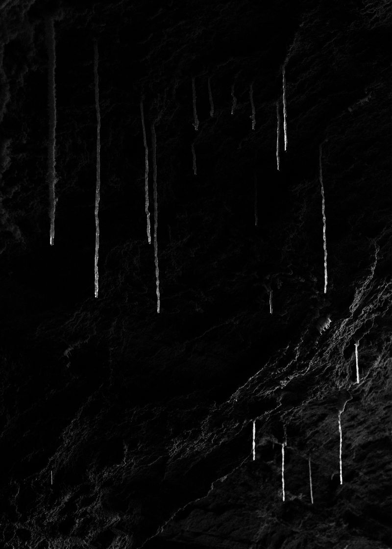 © Joshua Mokry - Drip, Archival inkjet print, 15x21", 2025