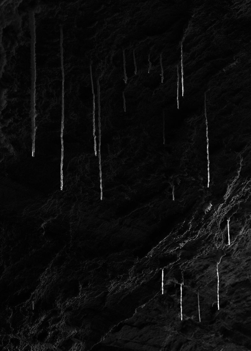 © Joshua Mokry - Drip, Archival inkjet print, 15x21", 2025