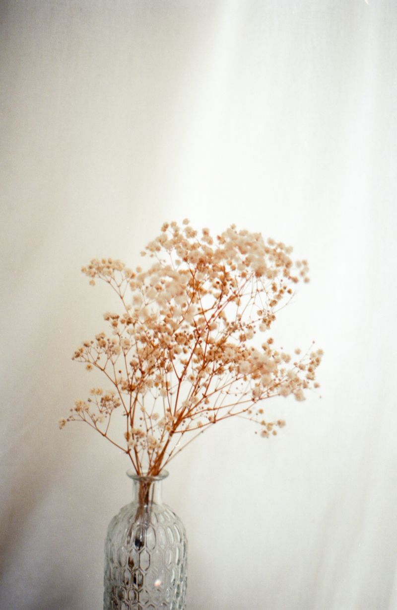 © Amber Marie - Image from the Home Safe photography project