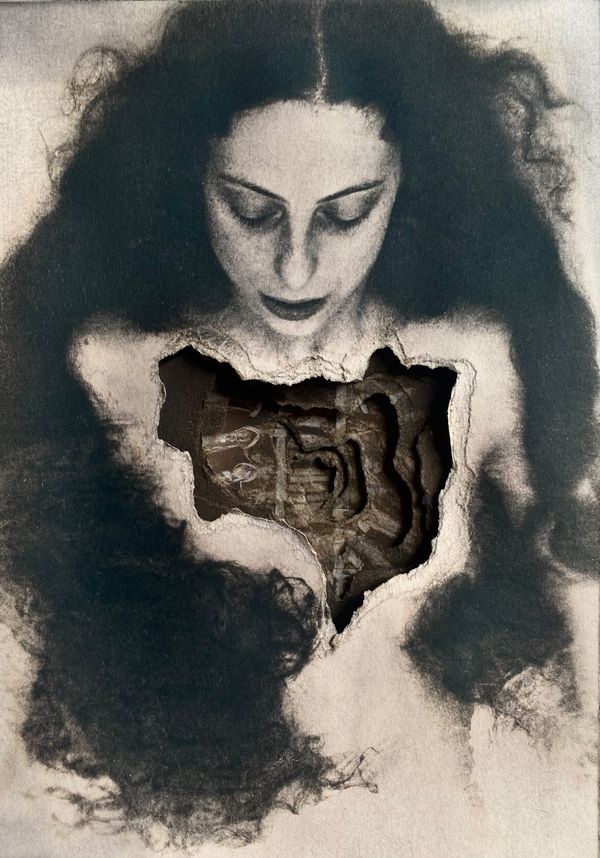 © ramona zordini - single-colour Cyanotypes, toned and layered.
