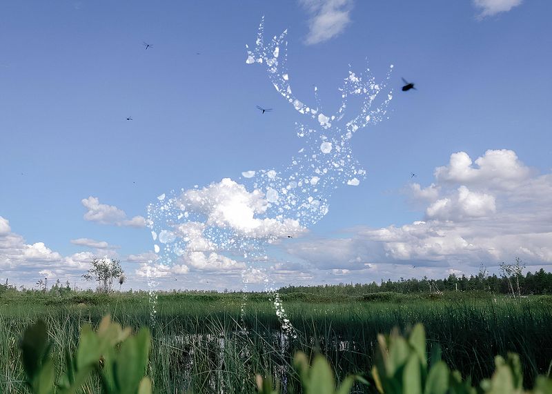 © Natasha Budantseva - Image from the Land of the vanishing echoes photography project