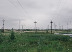 Land of the vanishing echoes