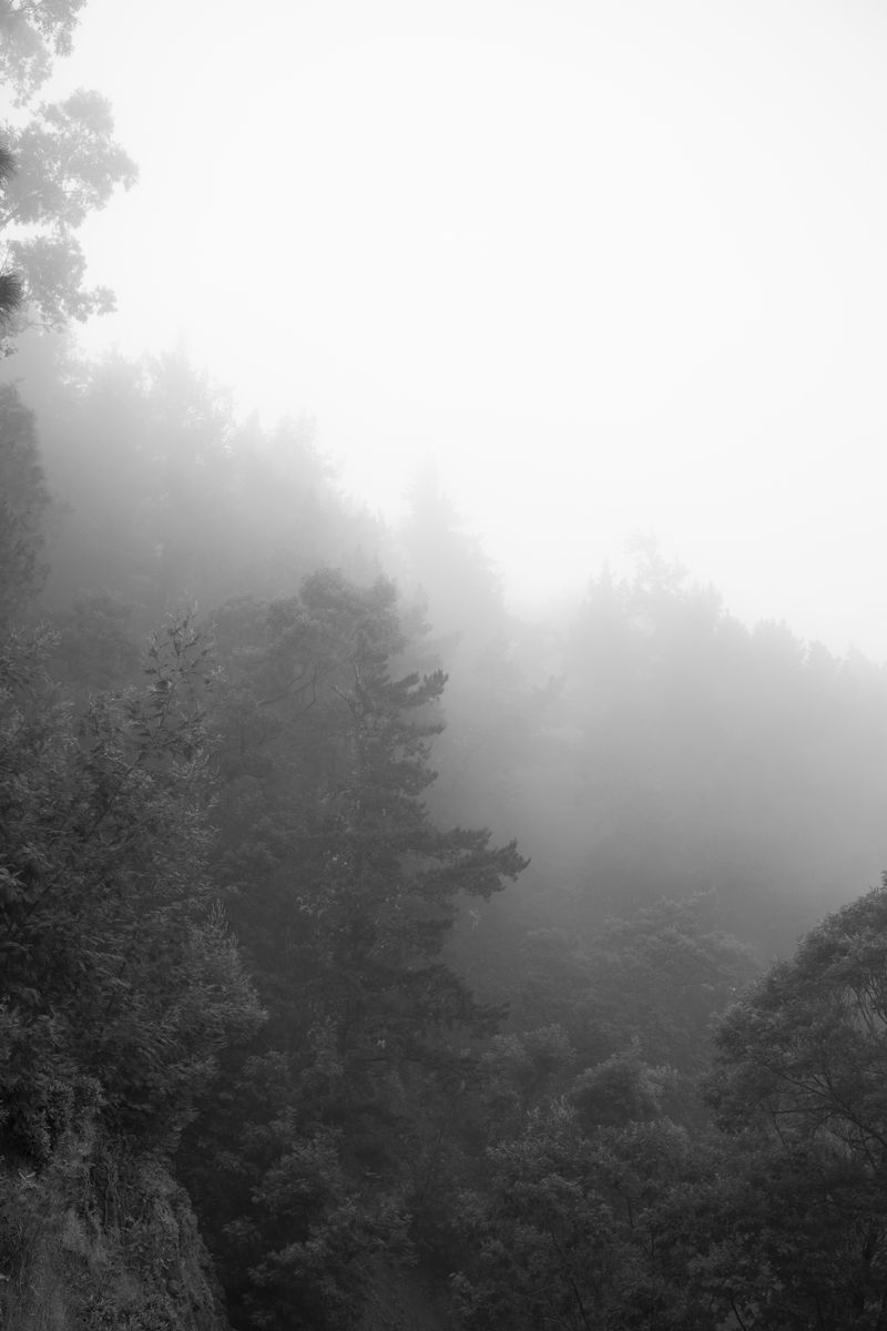 © Lieke van der Heide - Image from the Come with me - the Emma photography project