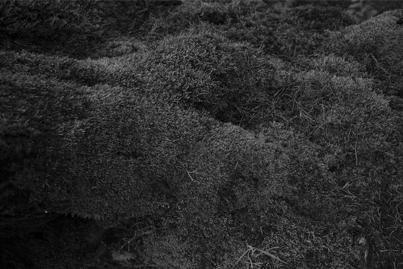 © Lieke van der Heide - Image from the Come with me - the Emma photography project