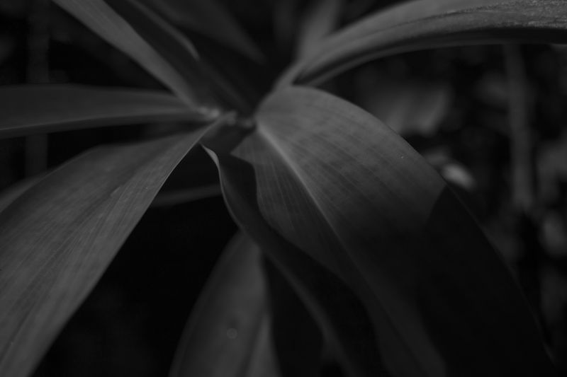 © Lieke van der Heide - Image from the Come with me - the Emma photography project