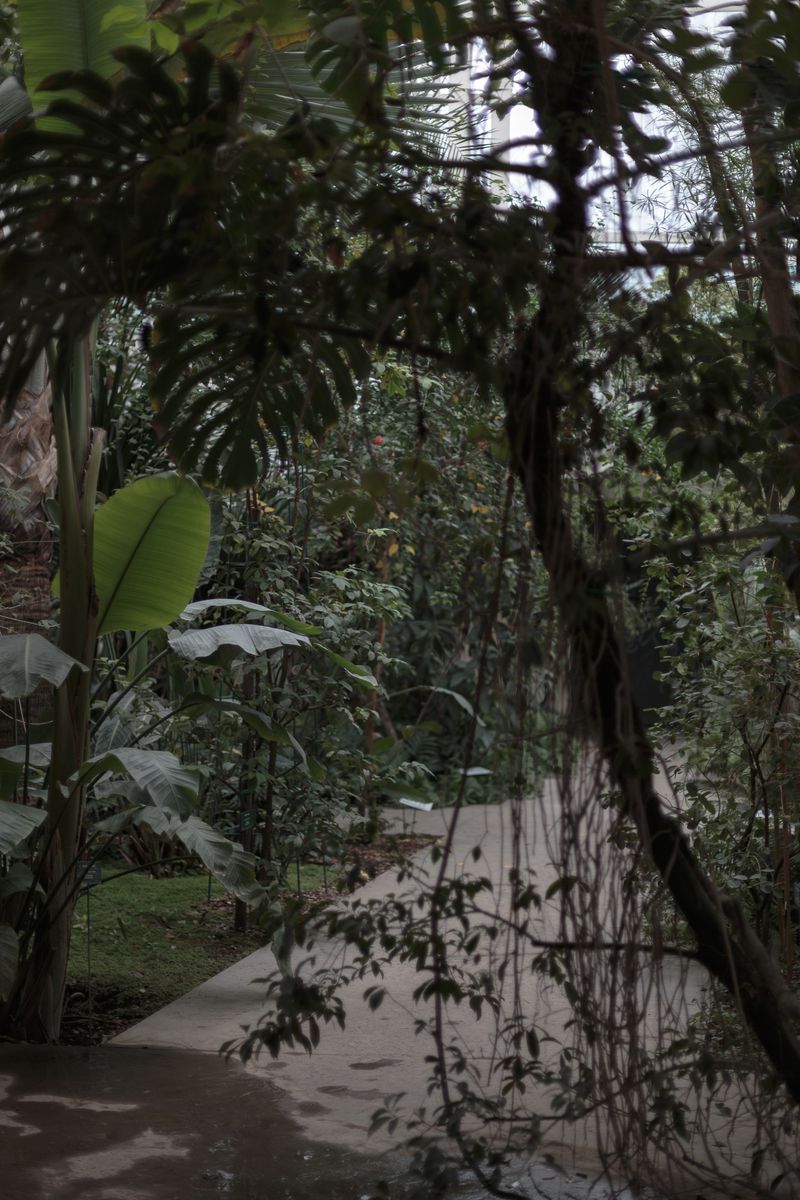 © Federica Baruffi - Image from the Nature is only a zoo photography project
