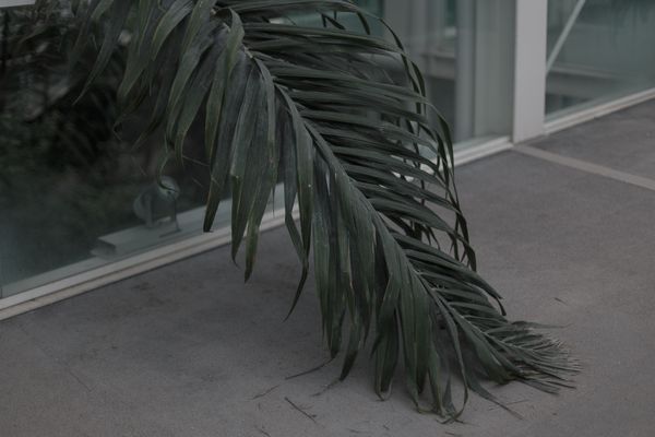 © Federica Baruffi - Image from the Nature is only a zoo photography project