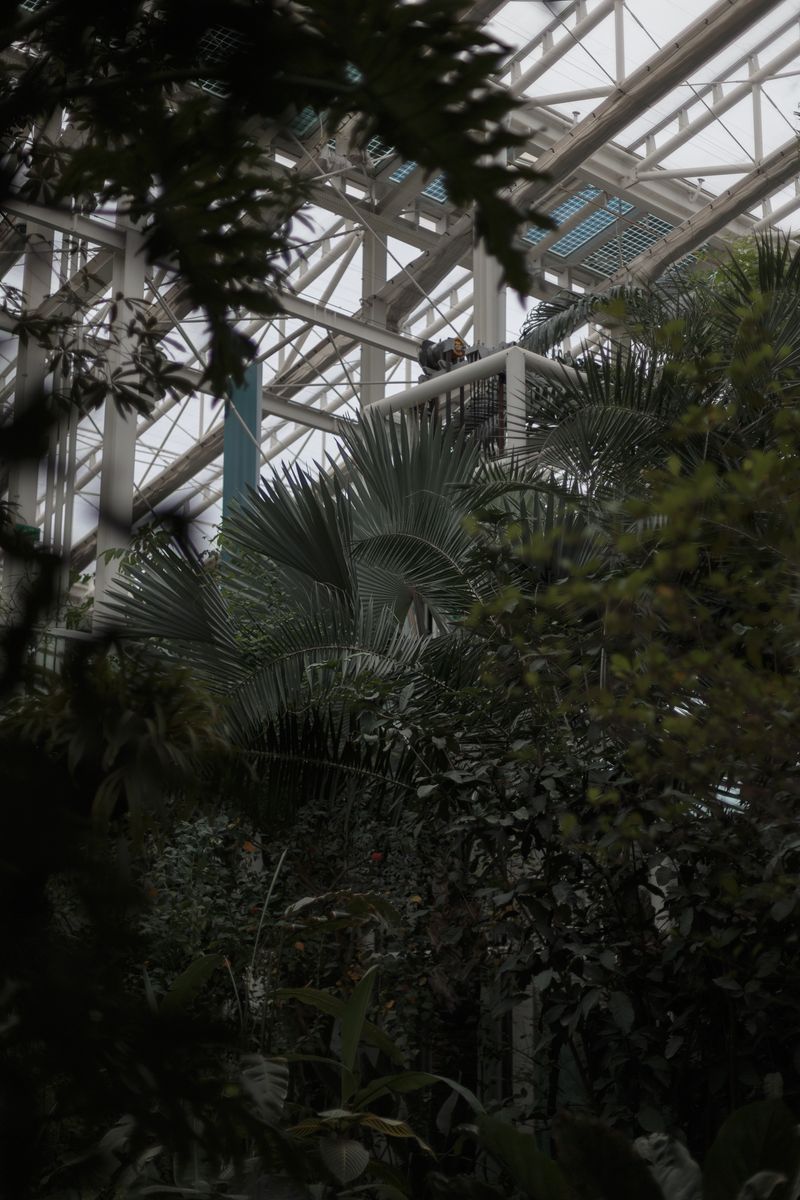 © Federica Baruffi - Image from the Nature is only a zoo photography project