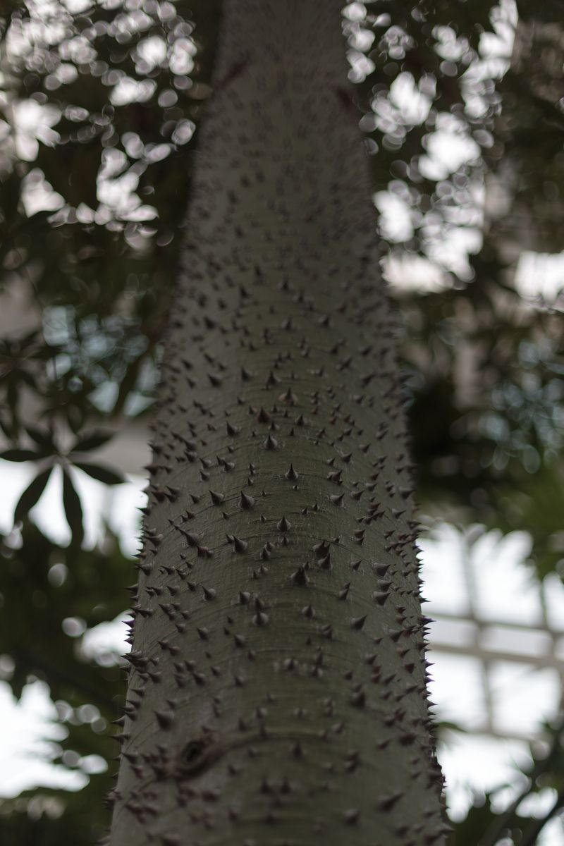 © Federica Baruffi - Image from the Nature is only a zoo photography project