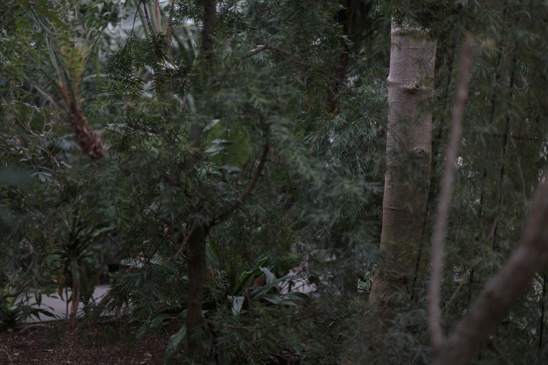 © Federica Baruffi - Image from the Nature is only a zoo photography project