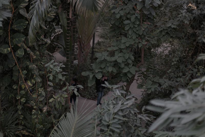 © Federica Baruffi - Image from the Nature is only a zoo photography project