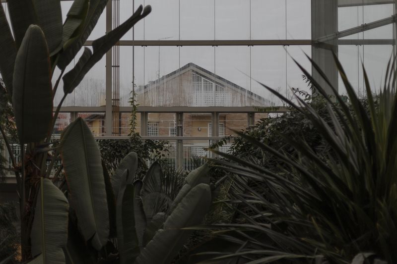 © Federica Baruffi - Image from the Nature is only a zoo photography project